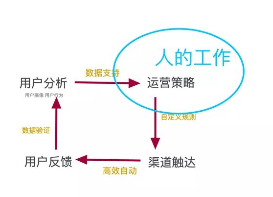 线上办公，如何让用户运营更智能？