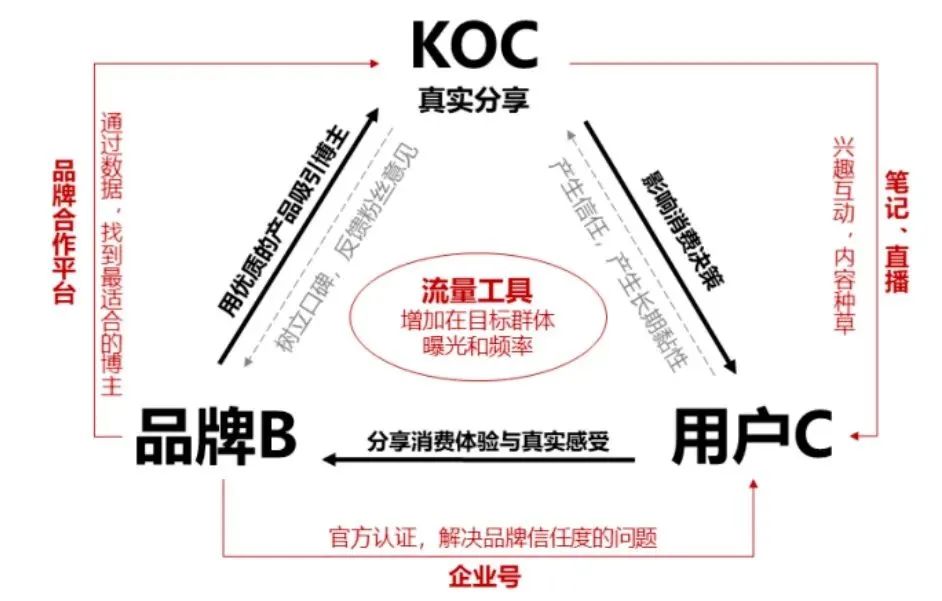 胡晓琪：小红书的本质是什么｜新商业情报NBT