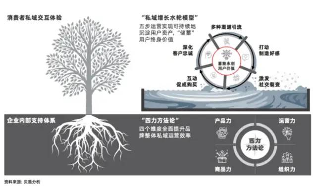 企业陷入“无效私域”的营销困境？要如何破解｜柠小柒柒