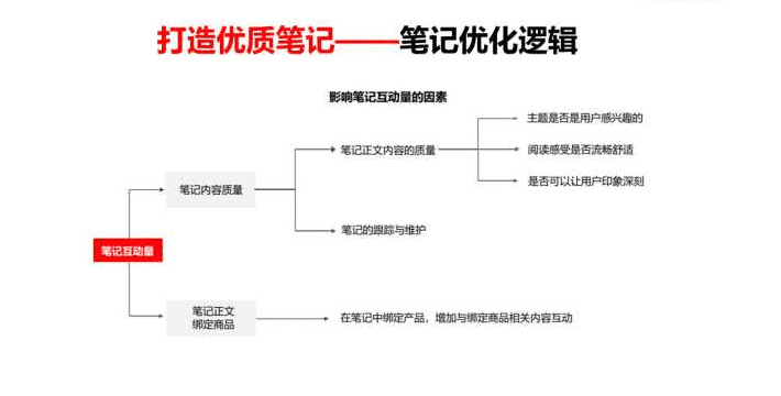 常见小红书运营问题解答！0基础小白运营攻略解析