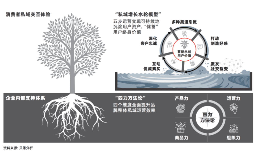 吕玥：无效私域，增长的隐形毒药