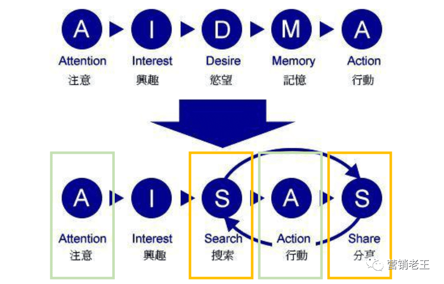 七大模块教你新品通过AISAS模型起盘小红书，月销破100万｜营销老王