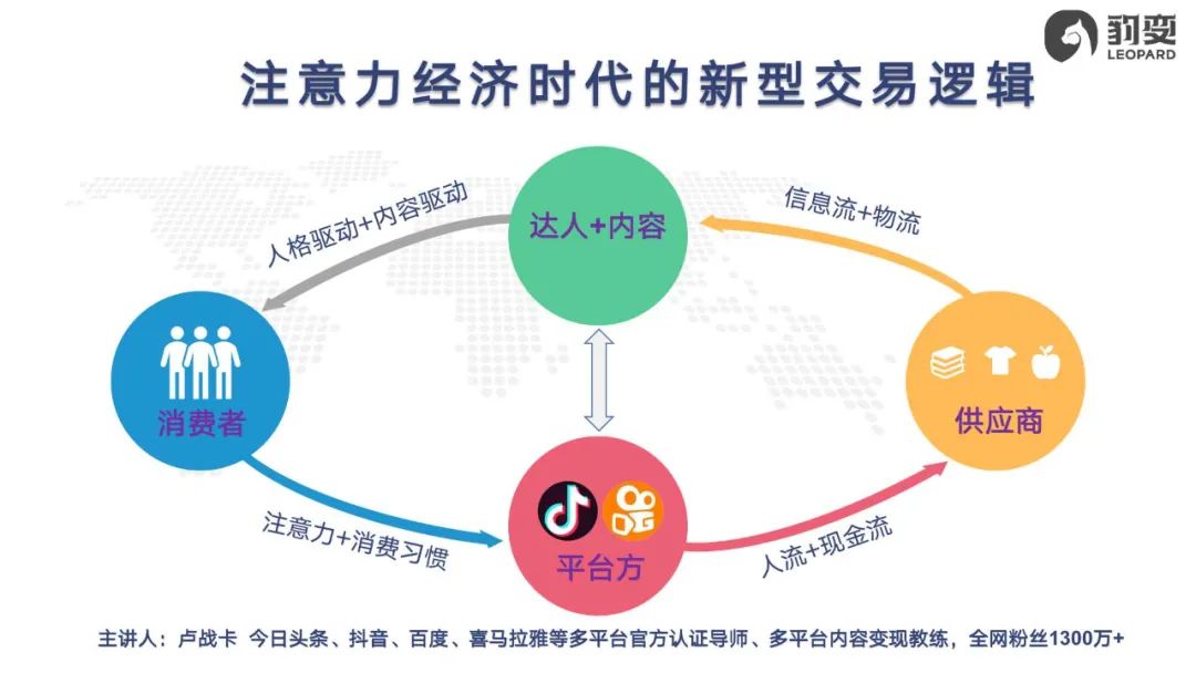 单条2000万播放，涨粉66万，爆款短视频背后就这18个字