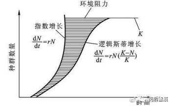 思维模式1：指数增长