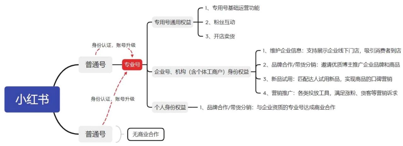 小红书重磅新规，品牌如何实现内容与交易正增长｜千瓜数据