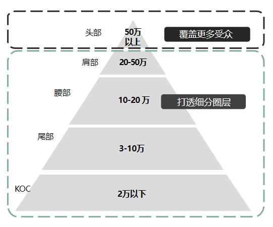 50条看懂B站营销｜刀法研究所