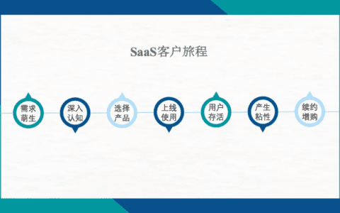 王戴明：SaaS增长策略