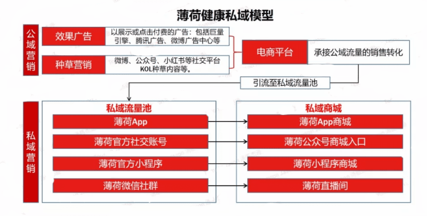 增长不止于销量，12000字深度破解品牌增长谜题