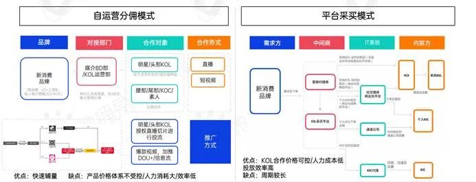 新消费品牌KOL营销的六大成功定律