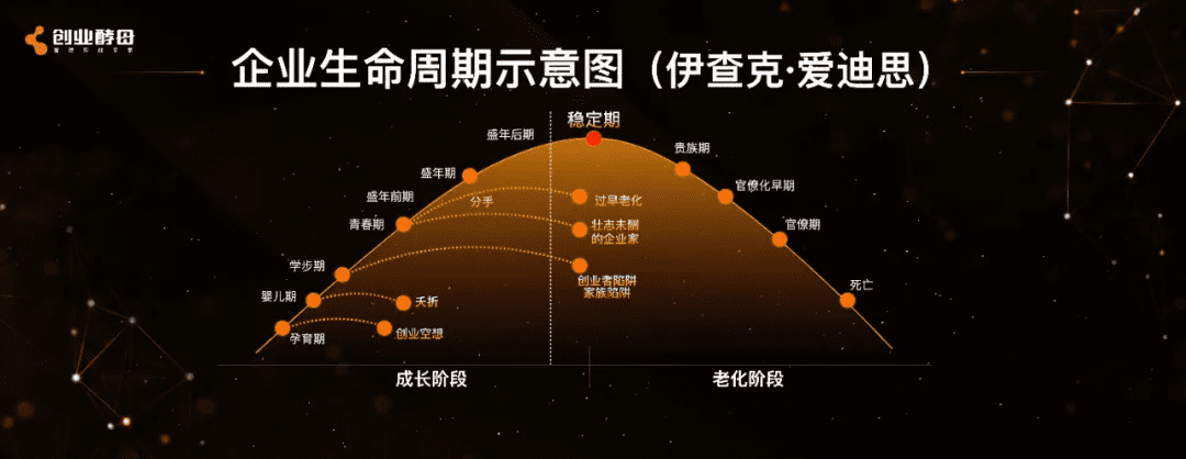 张丽俊最新演讲：要像竹子一样扎根，你终会一飞冲天