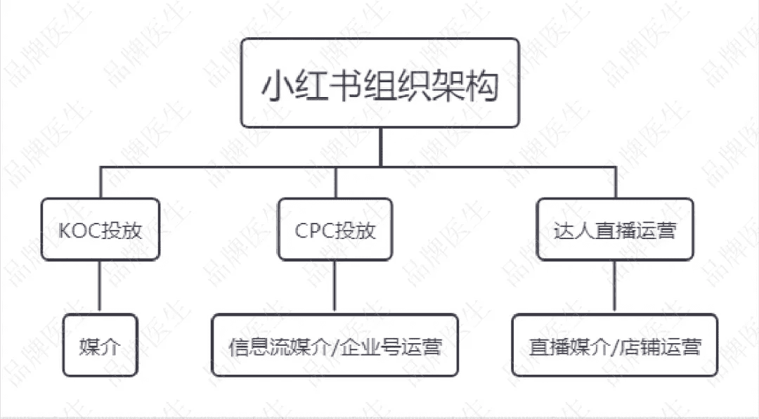 如何搭建小红书&快手团队，让新品牌月销突破1000万？