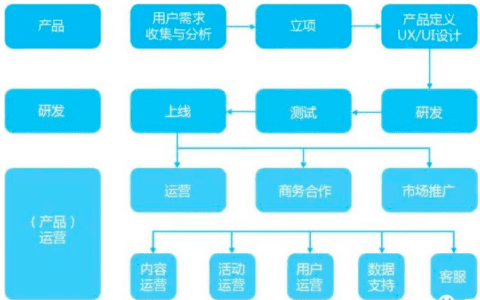 运营人职场定位指南｜西欧欧