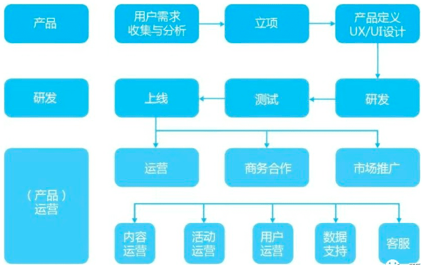 运营人职场定位指南｜西欧欧