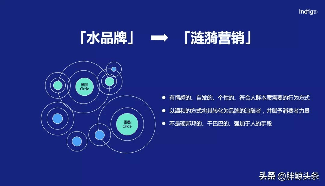 Indigo：汽车&科技品牌如何从小红书、知乎、B站中跑出来？