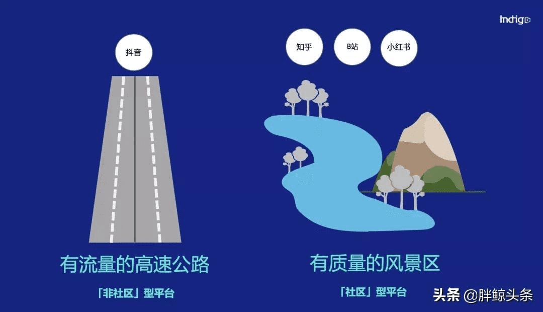 Indigo：汽车&科技品牌如何从小红书、知乎、B站中跑出来？