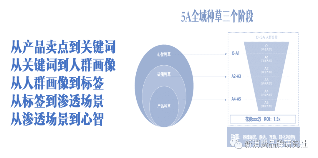 品牌种草三阶段：产品种草、破圈种草、心智种草