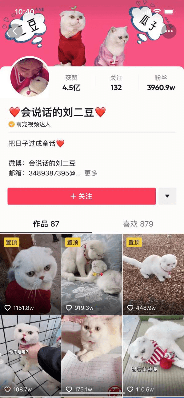 宠物经济大热，品牌应该如何借势做营销？