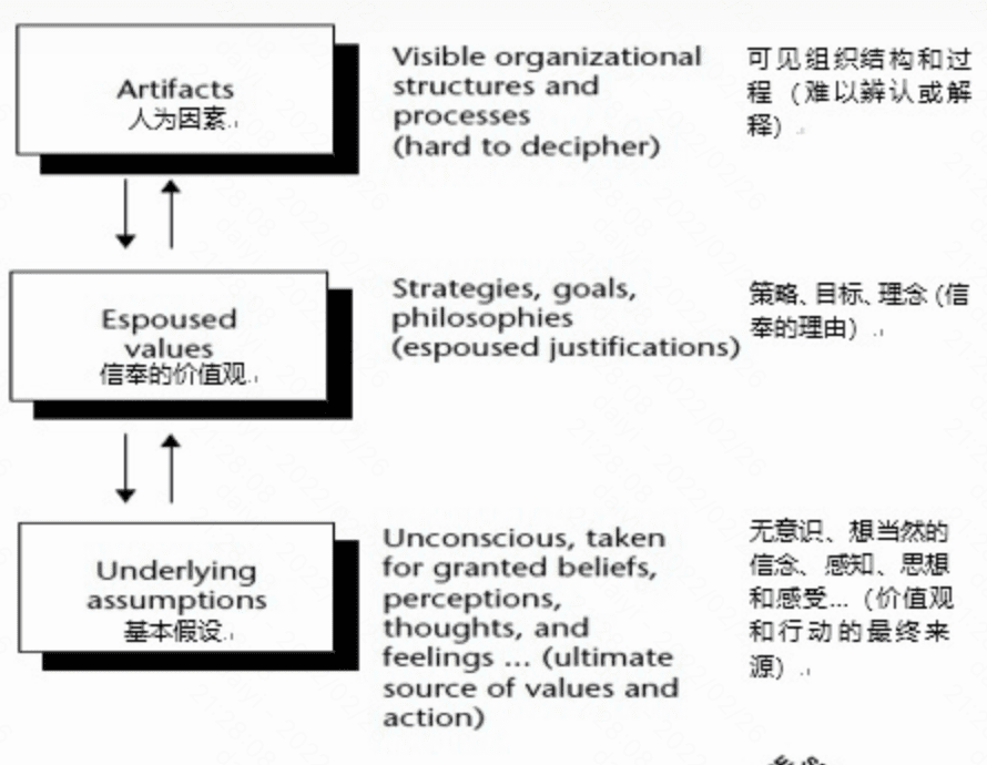 如何理解「企业文化」？