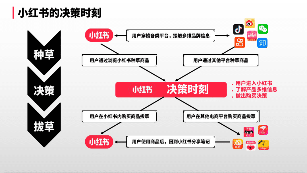 小红书专业号·种草营销新阵地