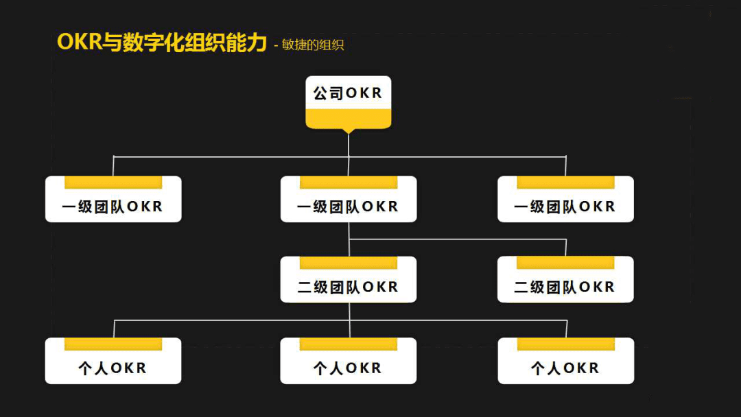 陶慧刚：OKR实践分享｜混沌学园