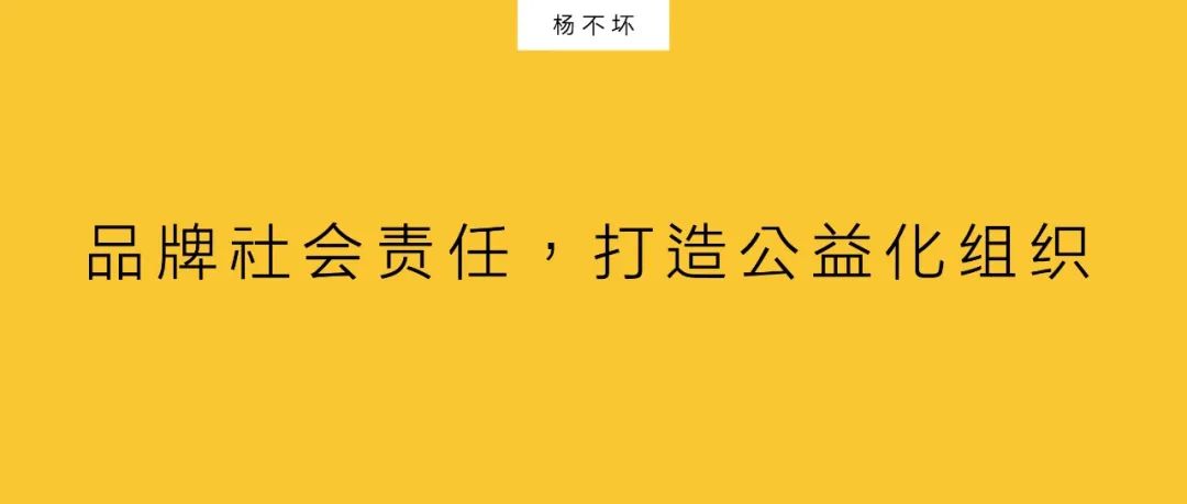 杨不坏：品牌社会责任，打造公益化组织￼