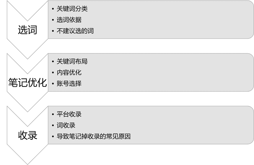 万国传媒联创大刘：如何通过小红书SEO获取精准的搜索流量｜楠开口