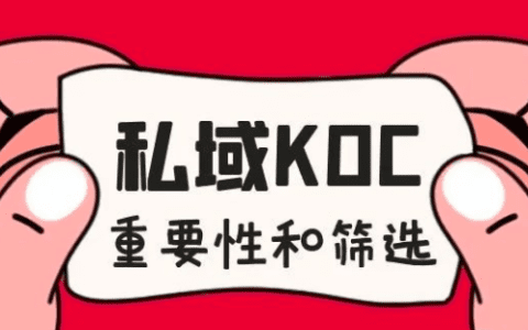 私域中KOC的重要性和筛选策略｜一直前行的彪羊羊