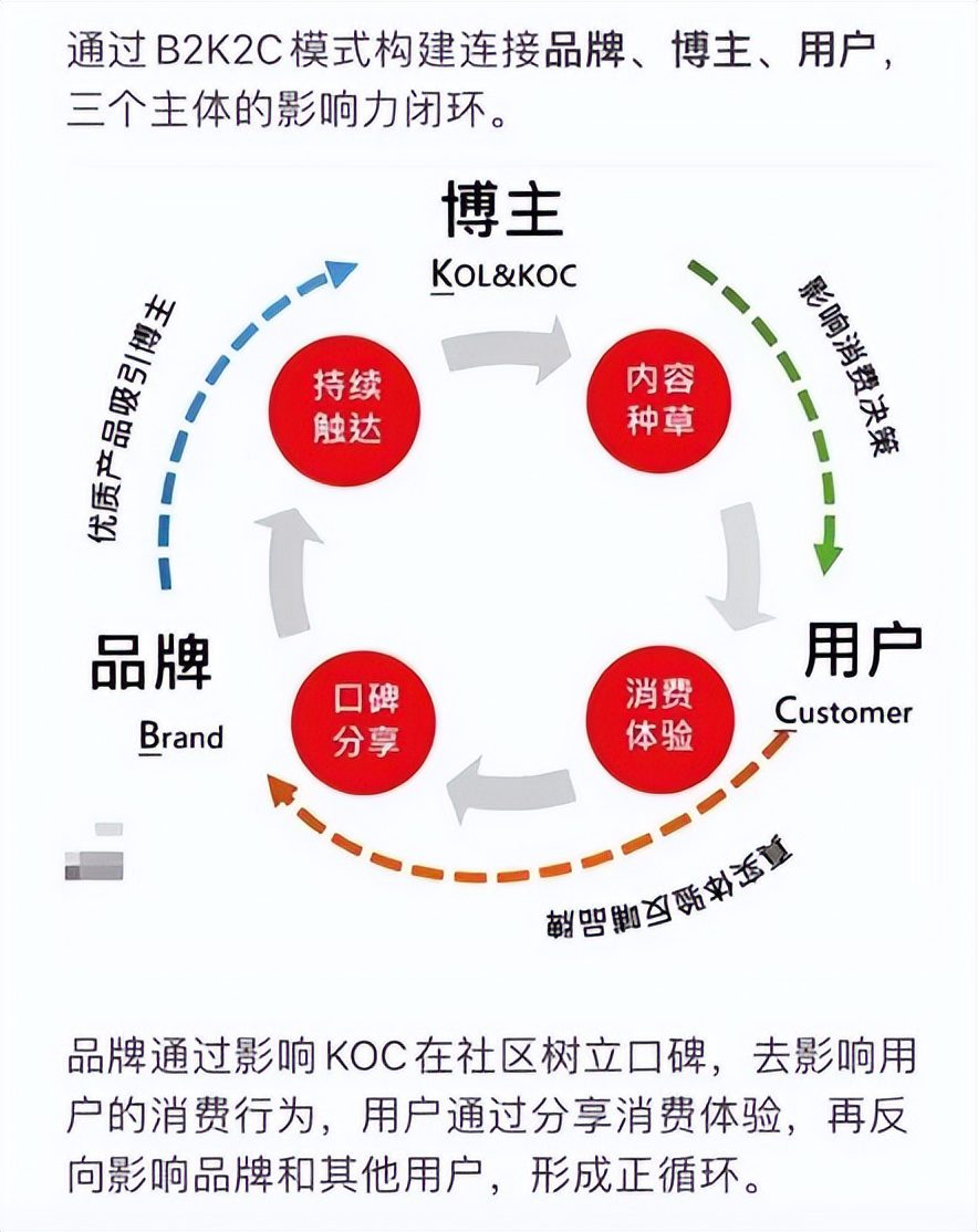 从0起步的品牌应该如何全网布局？淘宝、小红书、抖音、私域等