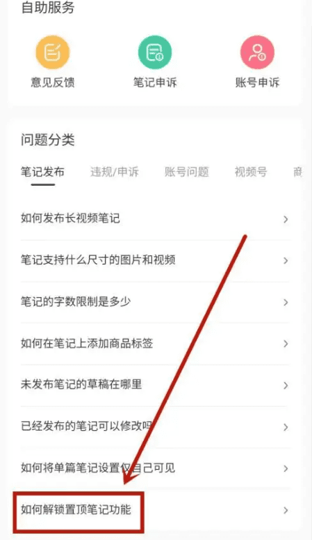 小红书引流运营，助力你走进私域