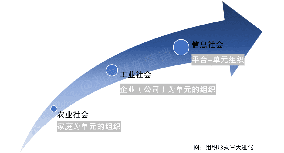 渠道新变量：单元组织正成为渠道新枢纽