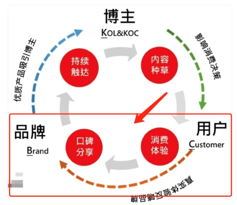 从0起步的品牌应该如何全网布局？淘宝、小红书、抖音、私域等