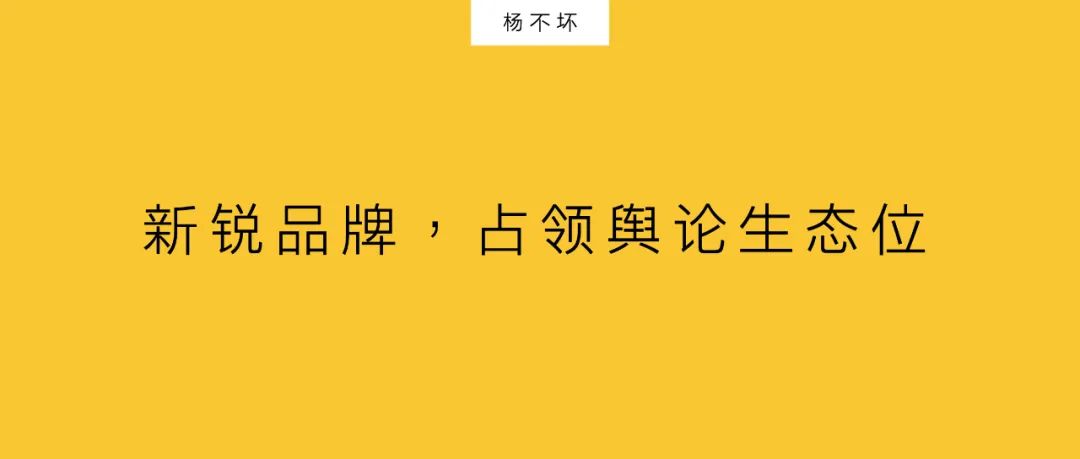 杨不坏：新锐品牌，占领舆论生态位