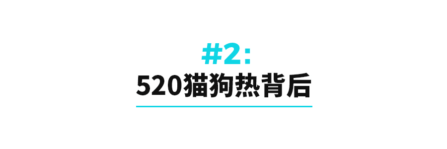 “520”猫狗热：比起爱情，更想给宠物花钱