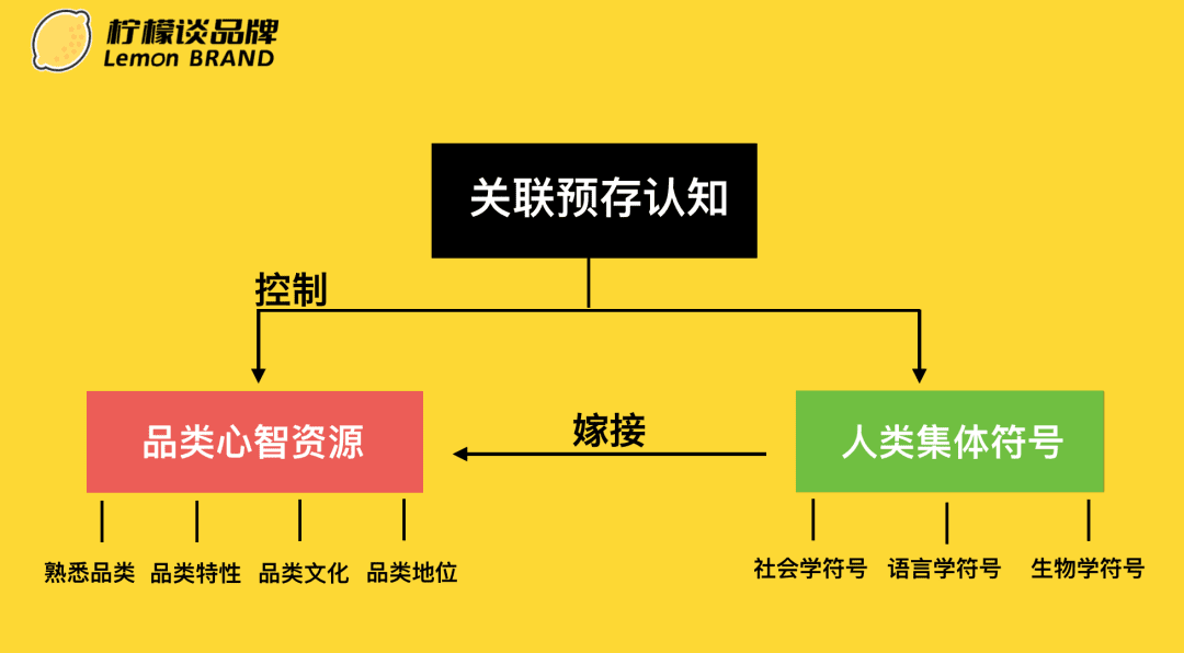 一文看懂定位、华与华｜柠檬谈品牌