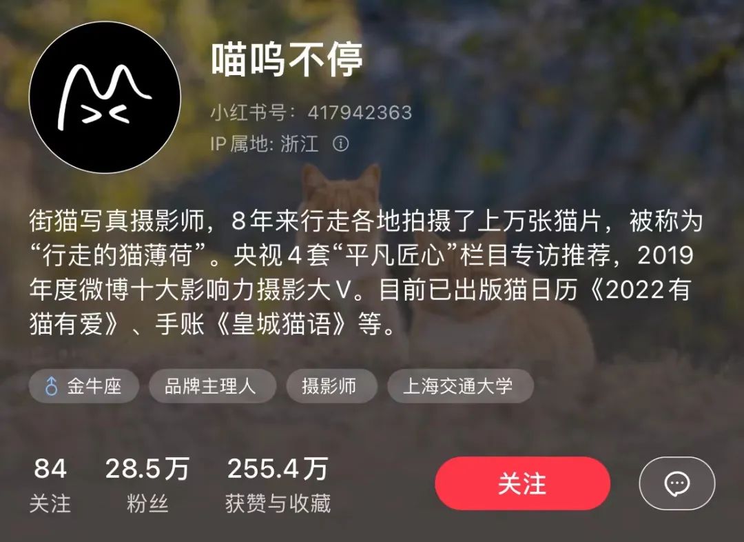 小红书个人博主如何快速涨粉？拆解1年涨粉88万的君君辅食记