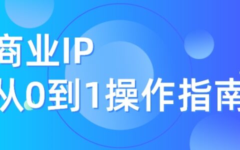 I你个P：商业IP从0到1操作指南