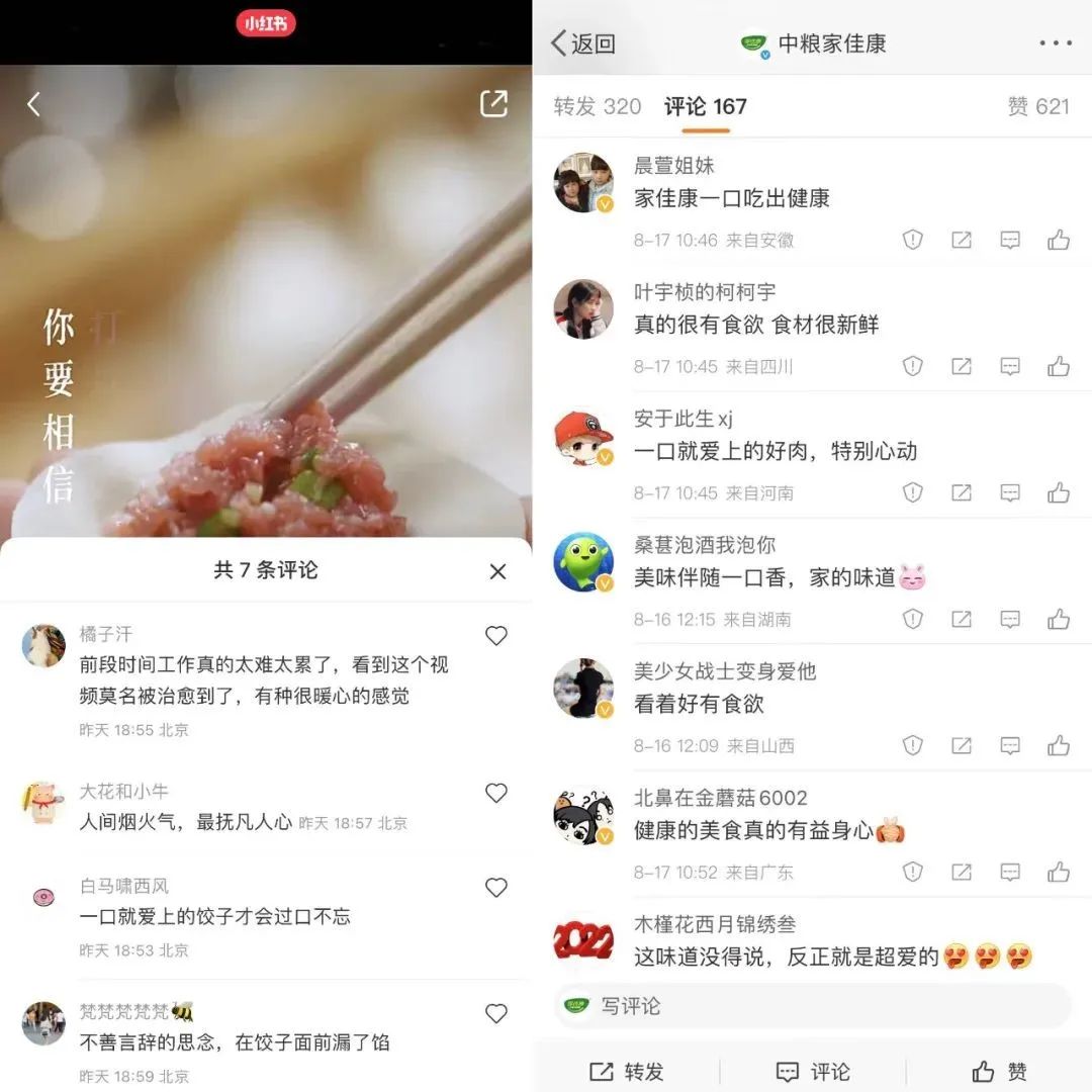 中粮家佳康的《一口就爱上》，这个冷鲜猪肉品牌升级打法，“真”治愈