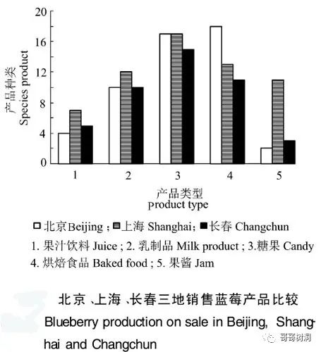 市场营销策略案例分析​