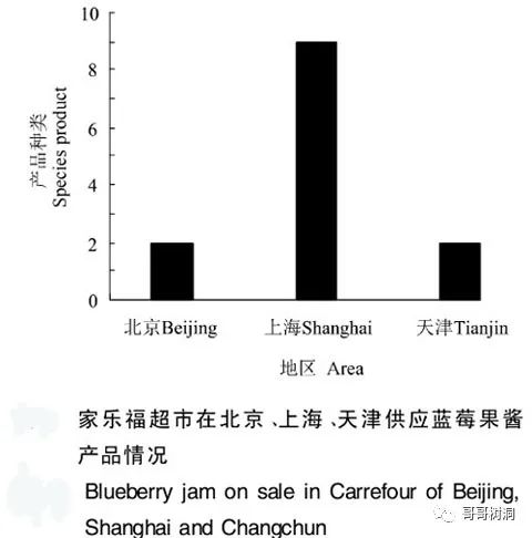 市场营销策略案例分析​