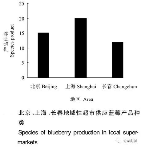 市场营销策略案例分析​