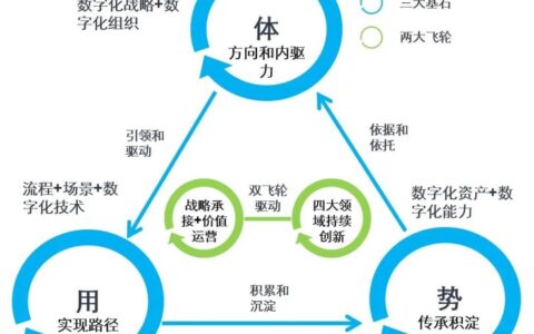 杨峻：数字化转型成功的两大增长飞轮