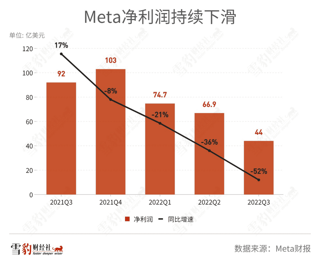 为什么CEO“御驾亲征”的项目都黄了？| 雪豹财经社