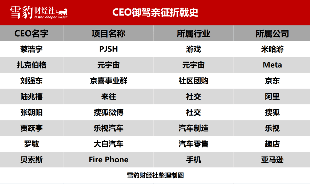 为什么CEO“御驾亲征”的项目都黄了？| 雪豹财经社