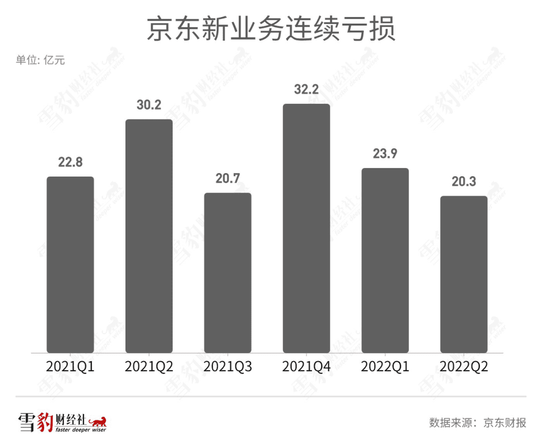 为什么CEO“御驾亲征”的项目都黄了？| 雪豹财经社