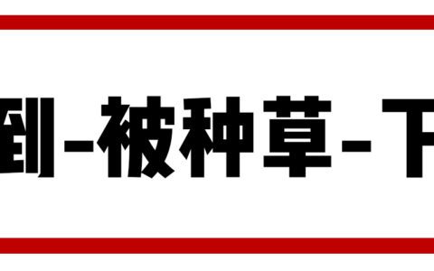 2023年，品牌小红书种草营销该怎么做？