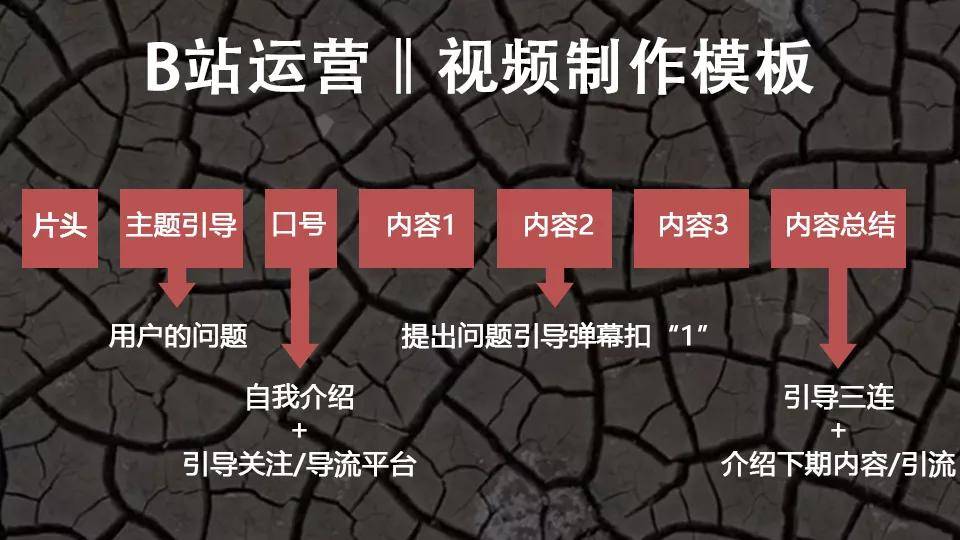 万字长文：我是如何在B站3个月通过运营变现600万的