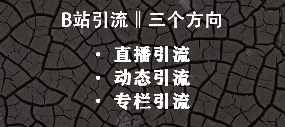 万字长文：我是如何在B站3个月通过运营变现600万的