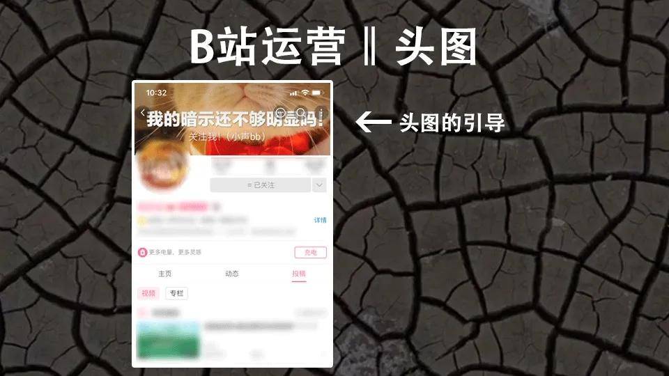 万字长文：我是如何在B站3个月通过运营变现600万的