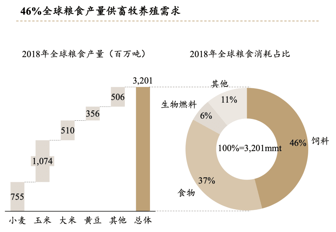 细胞肉，一道人类的必选题？