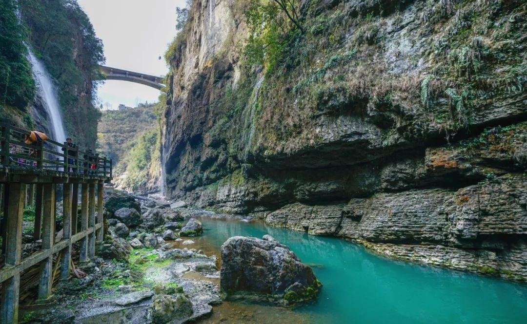 “索道双娇”冲击IPO：鄂旅股份半年未果 青都旅游“中道崩殂”